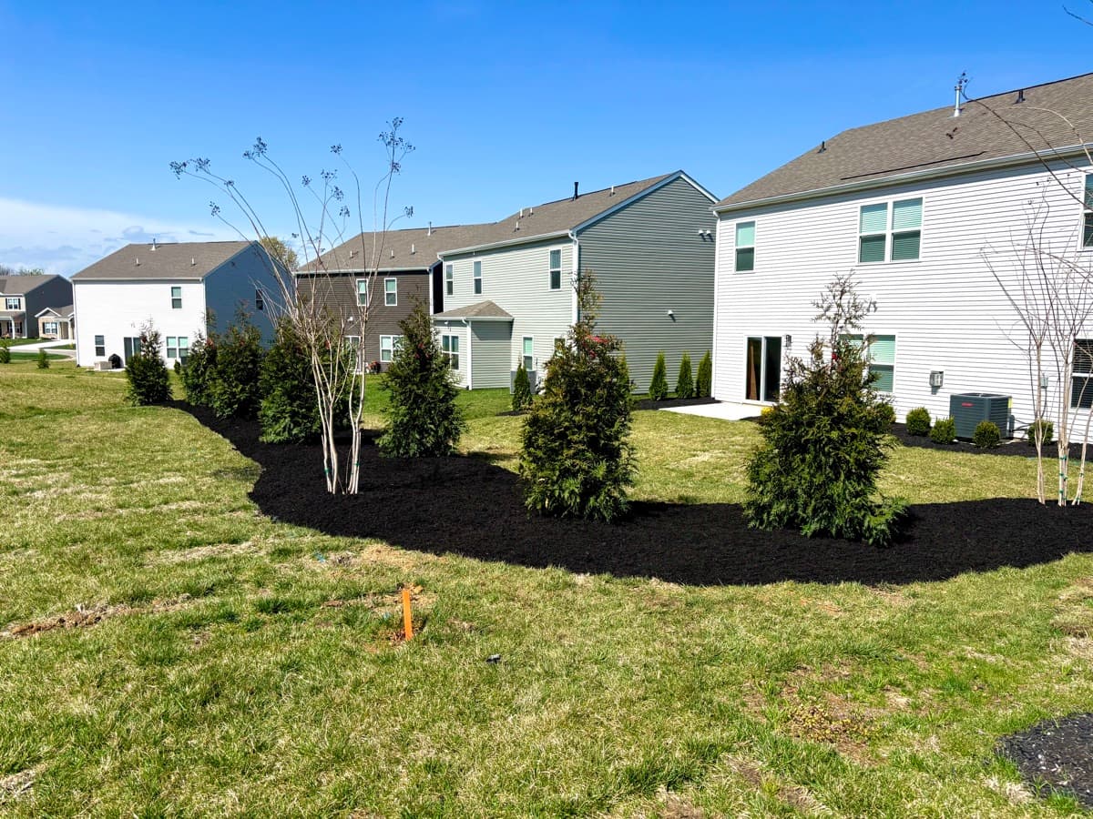 Professional landscaping project