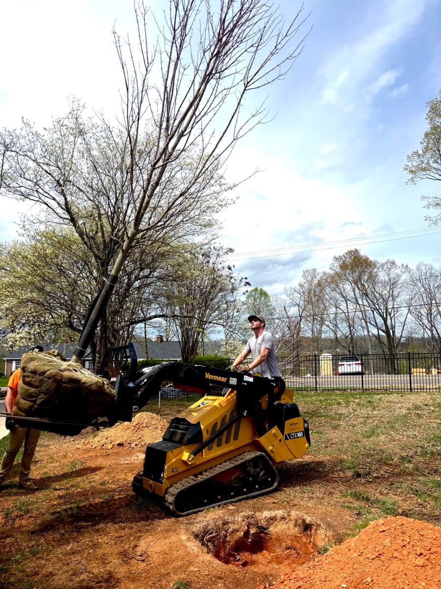 Landscape design and installation