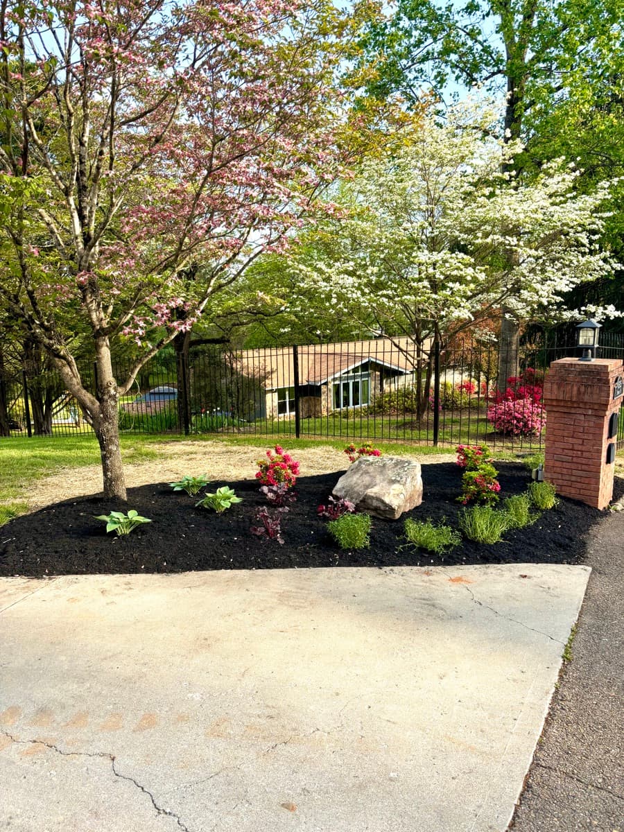 Professional garden design