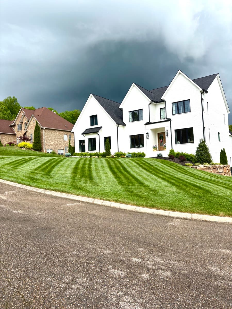 Landscape design and installation