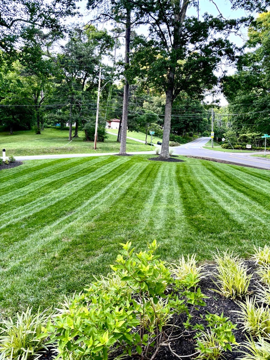 Professional landscaping service