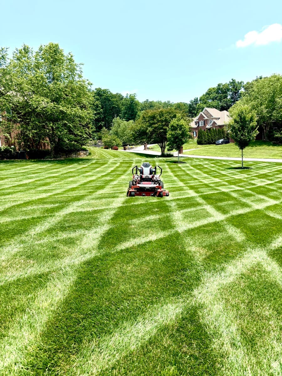 Hardscaping and design